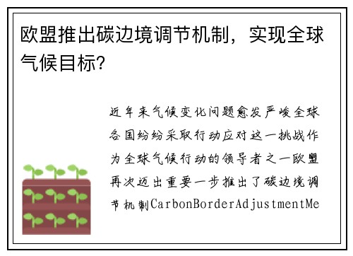 欧盟推出碳边境调节机制，实现全球气候目标？
