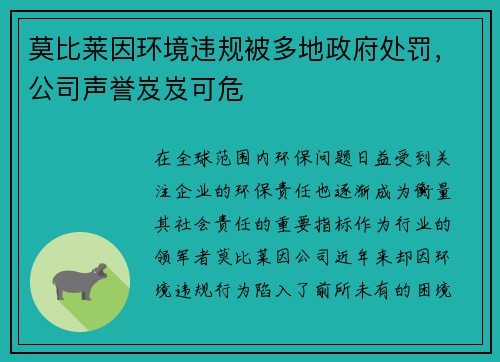 莫比莱因环境违规被多地政府处罚，公司声誉岌岌可危
